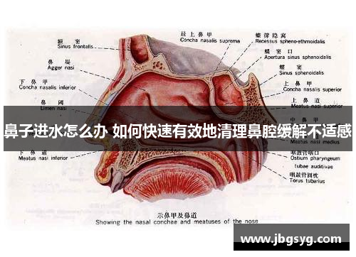 鼻子进水怎么办 如何快速有效地清理鼻腔缓解不适感